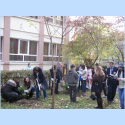 RUMUNIA (22).jpg
